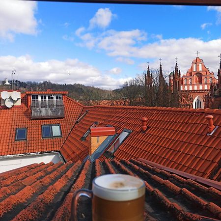 Private Sauna & 4 Bedrooms Old Town Rooftop Apartment VNO Eksteriør bilde