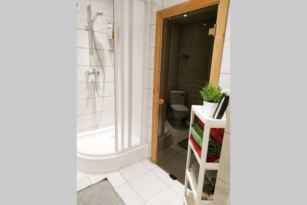 Private Sauna & 4 Bedrooms Old Town Rooftop Apartment VNO Eksteriør bilde